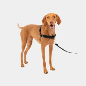 PetSafe Easy Walk Harness