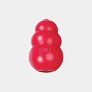 KONG Classic Dog Toy